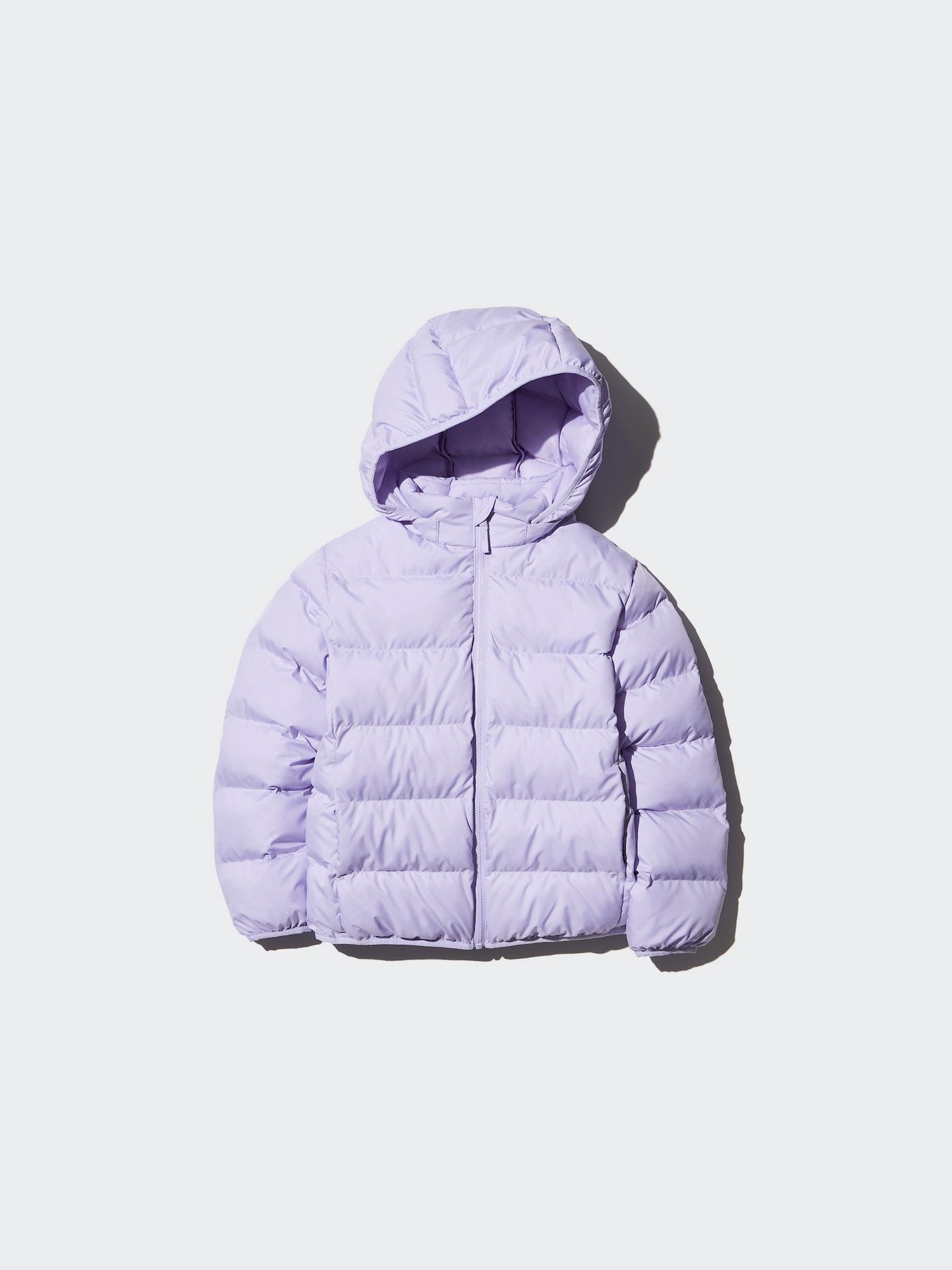 71 PURPLE
