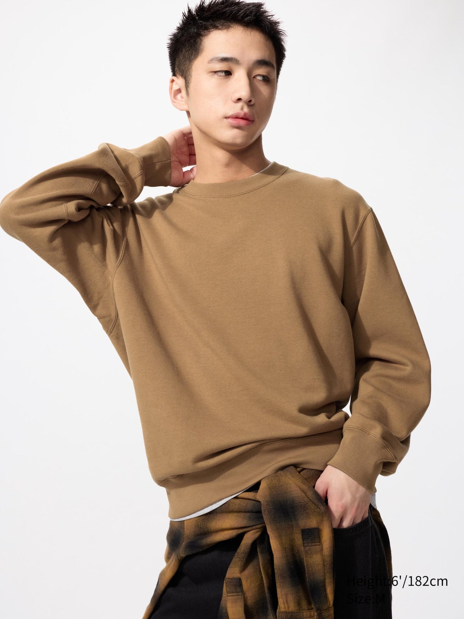 34 BROWN