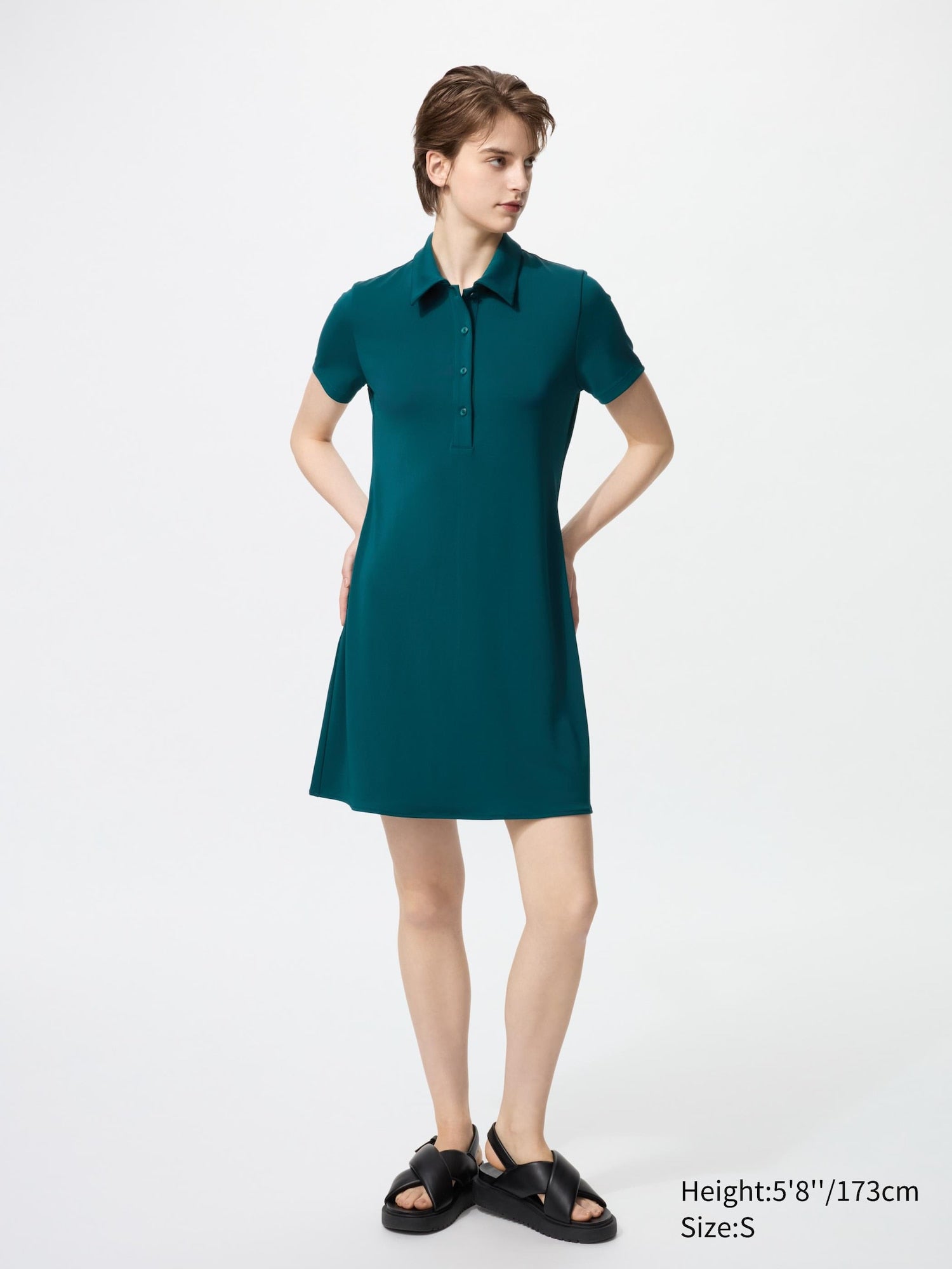 55 GREEN