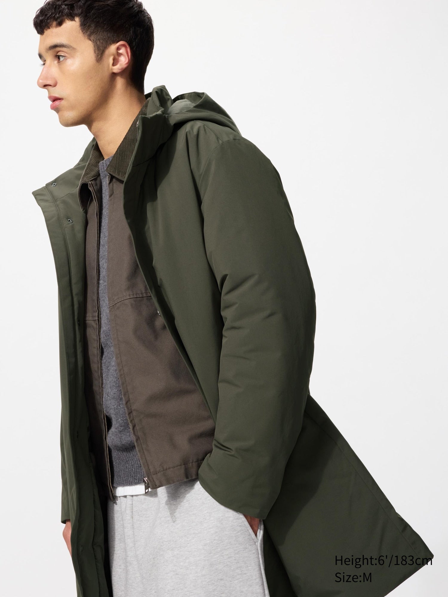 56 OLIVE