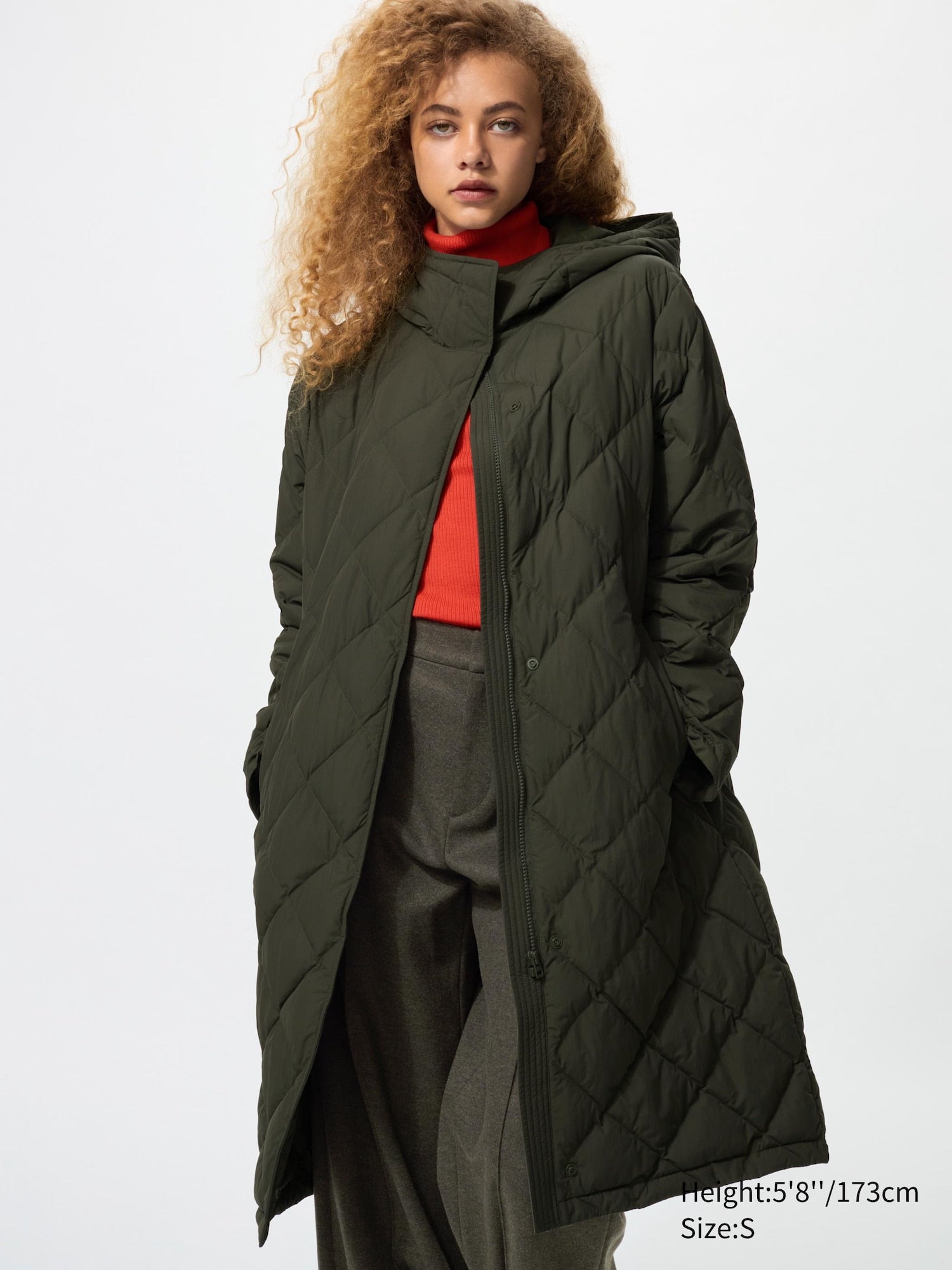 56 OLIVE