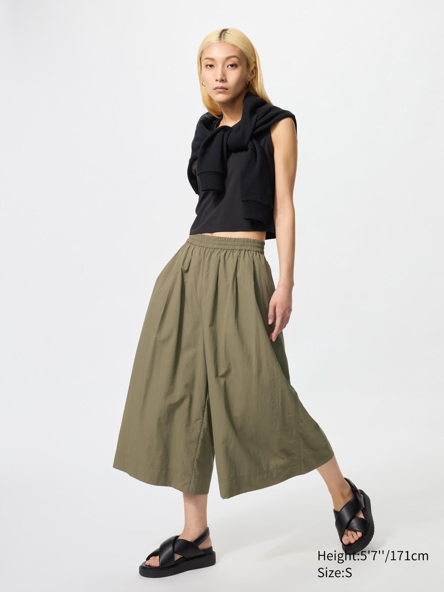 56 OLIVE