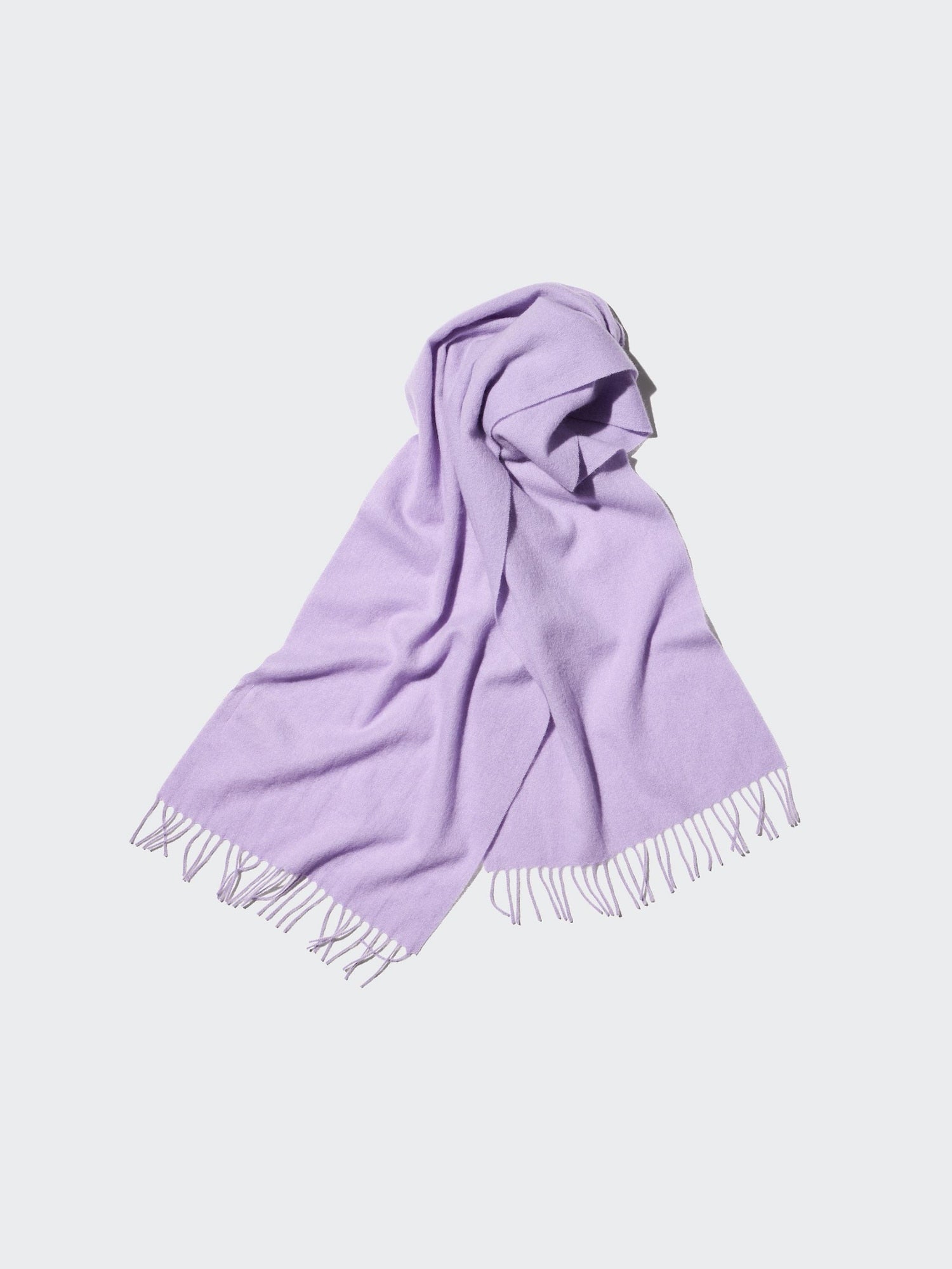 71 PURPLE