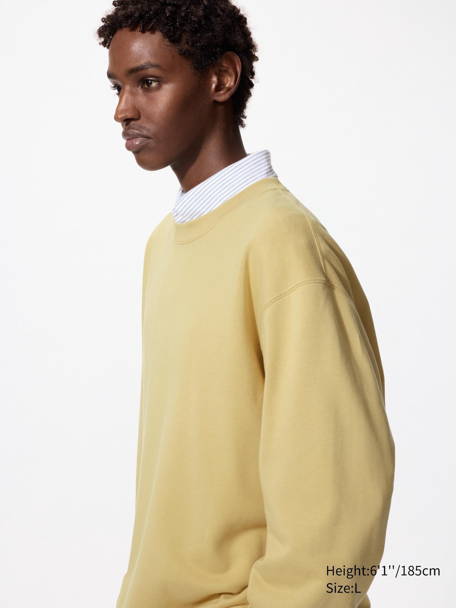 41 YELLOW