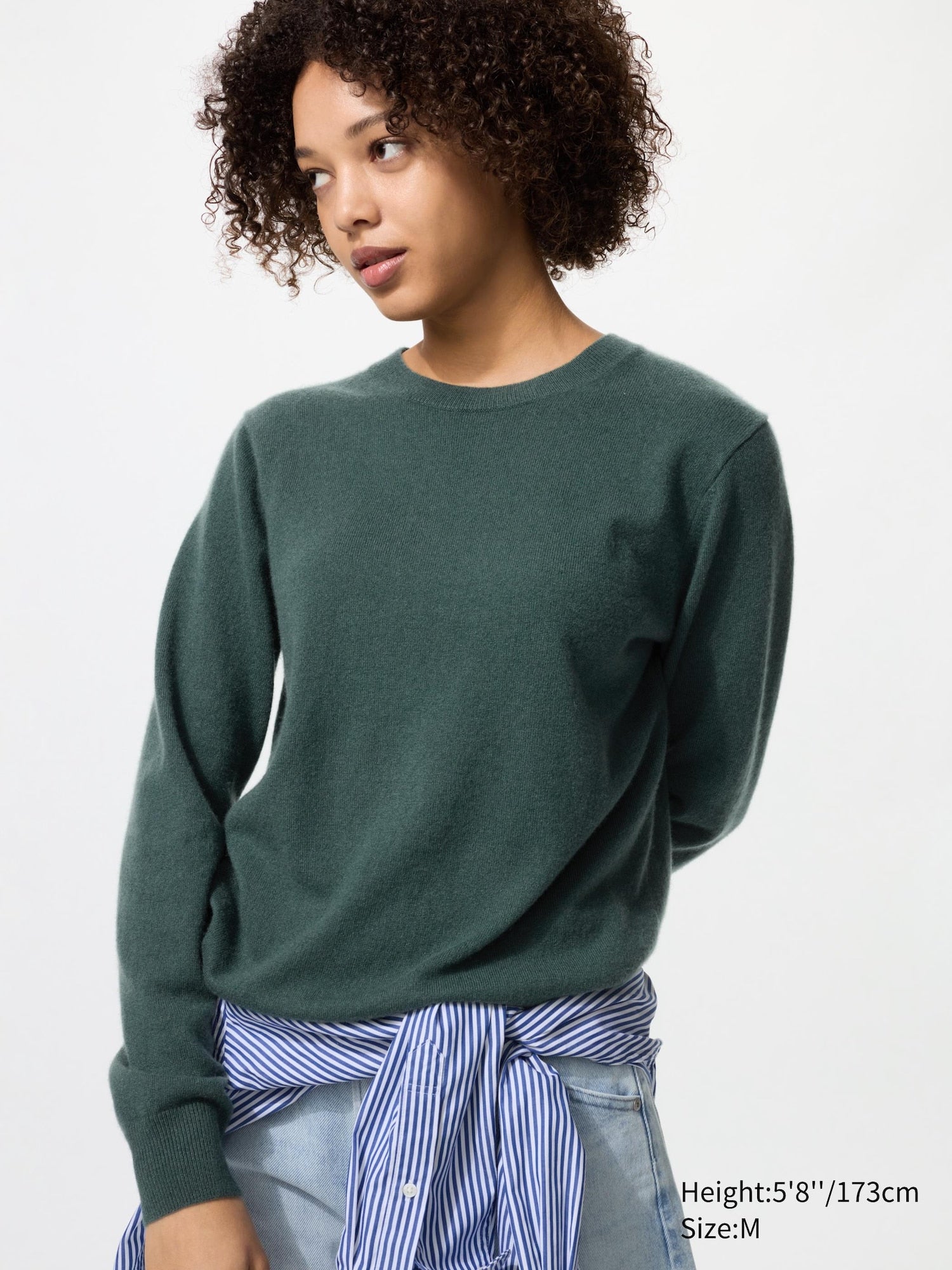 56 OLIVE