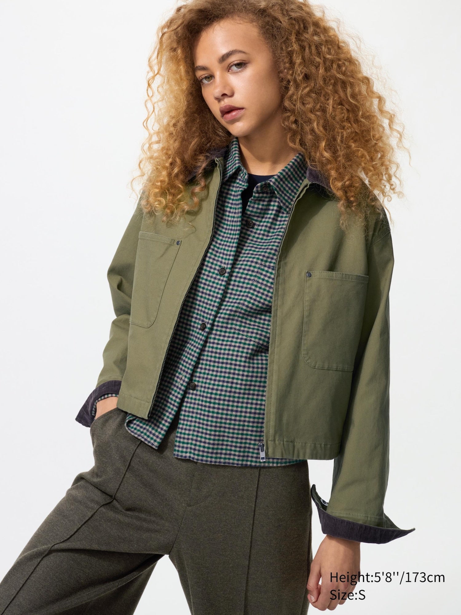 56 OLIVE